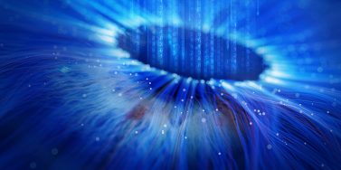 Cyber risk assessments